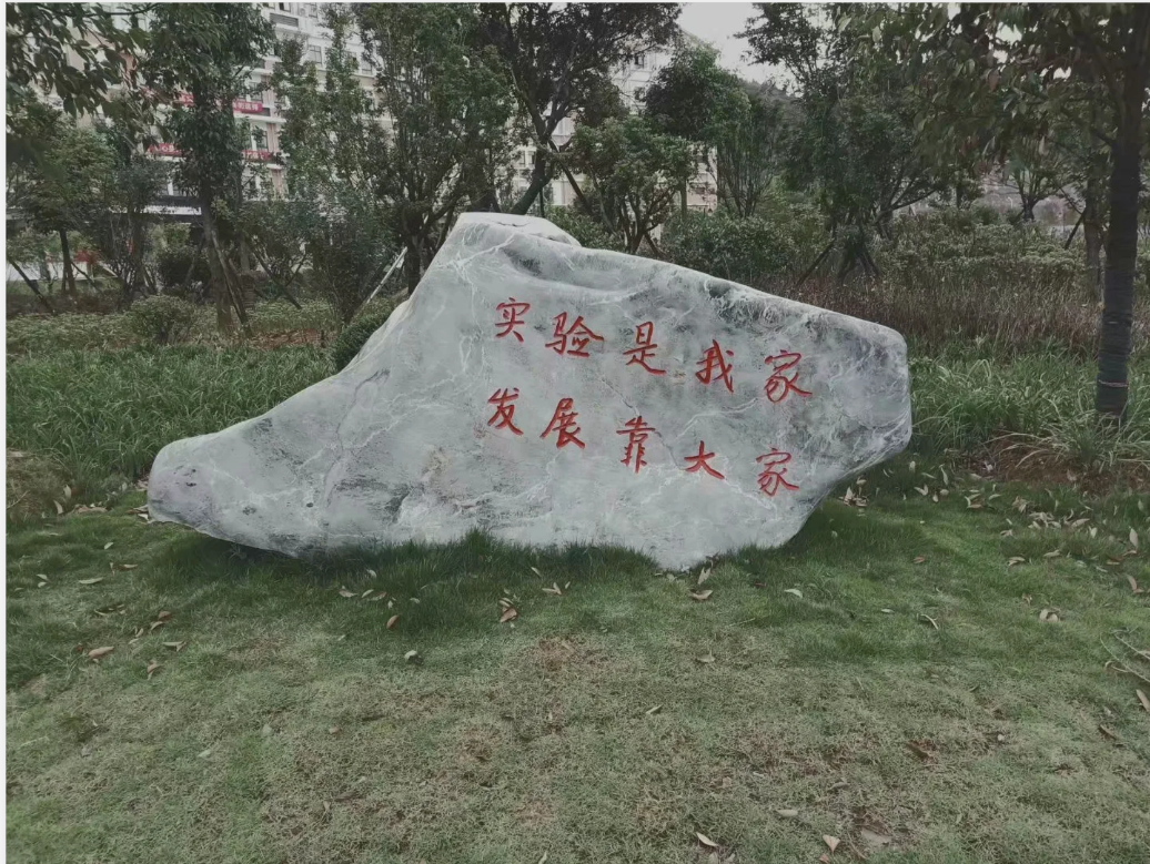 实验是我家1