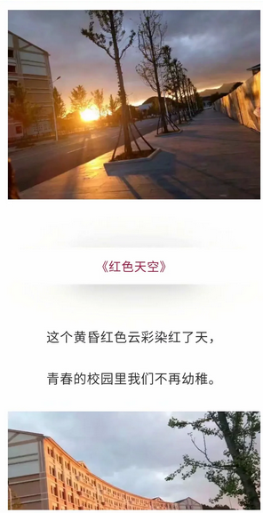 实验是我家