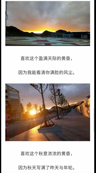 实验是我家