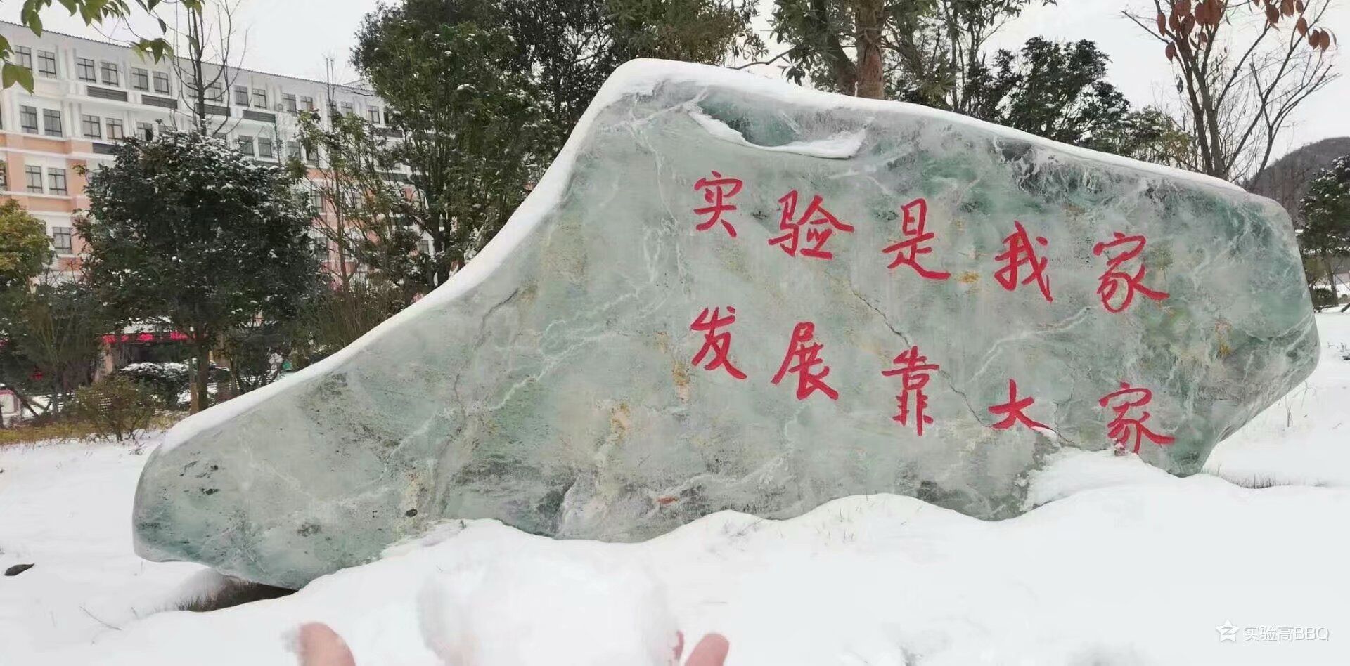 实验是我家